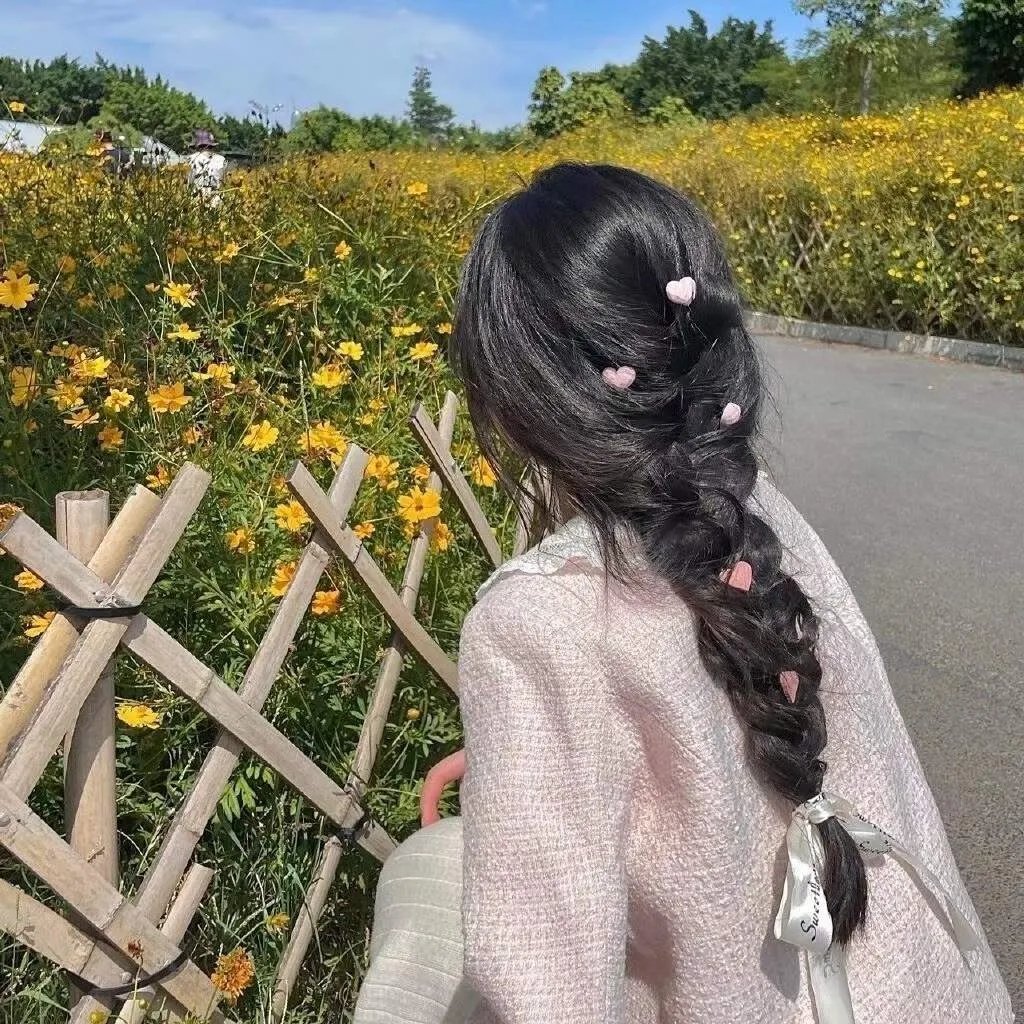 黑艳凤